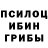 Псилоцибиновые грибы Psilocybine cubensis morgie milktea