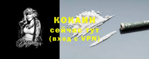 не бодяженный Бородино
