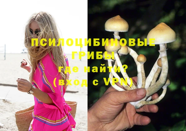 не бодяженный Бородино