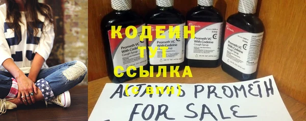 ПСИЛОЦИБИНОВЫЕ ГРИБЫ Богданович