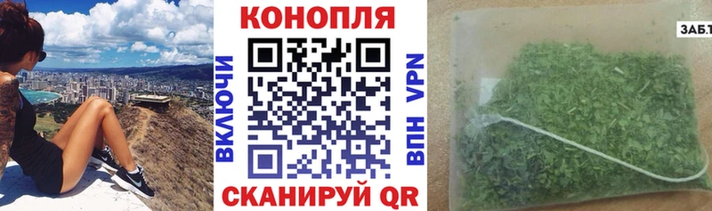 Бошки марихуана Ganja  купить закладку  блэк спрут ссылка  Буинск 